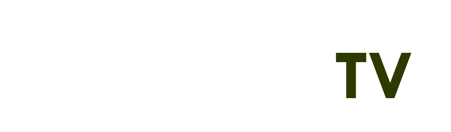 13 pro